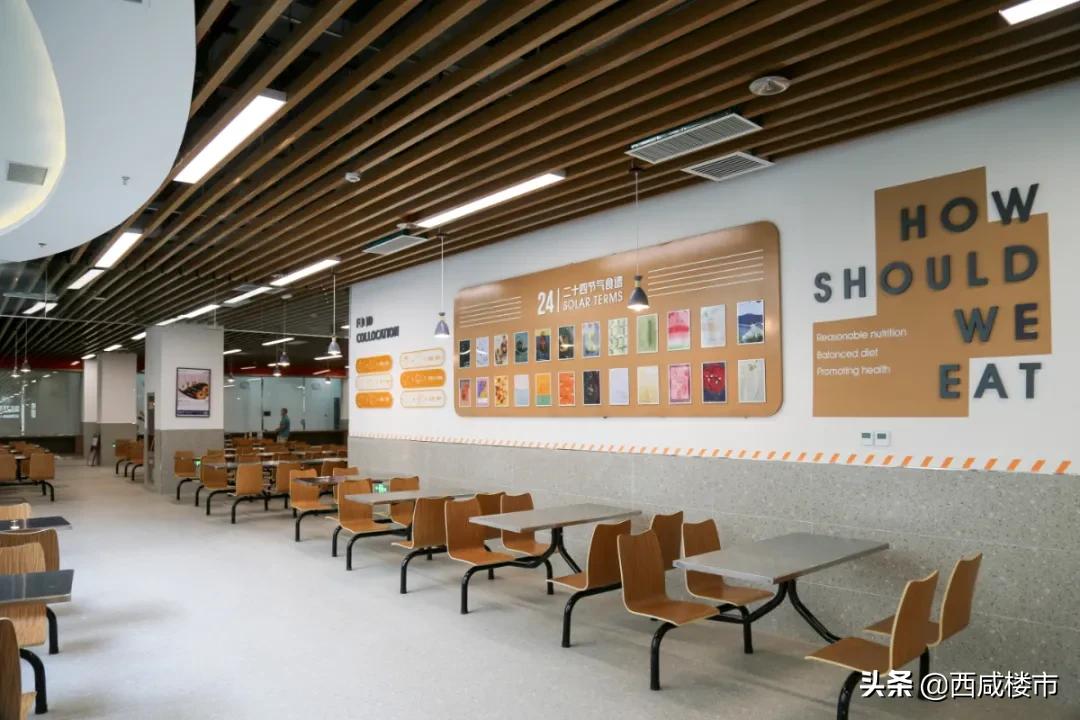 新增的231个学位是什么,5年内新增438万公办学位