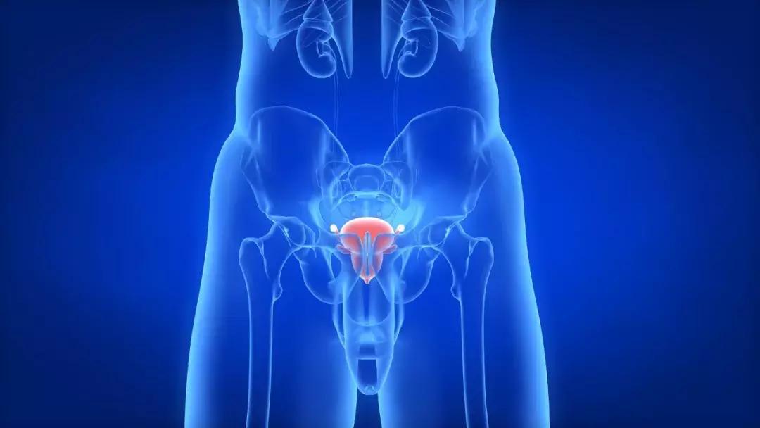 原因不明的中枢性尿崩症多吗,小儿中枢性尿崩症没找到病因