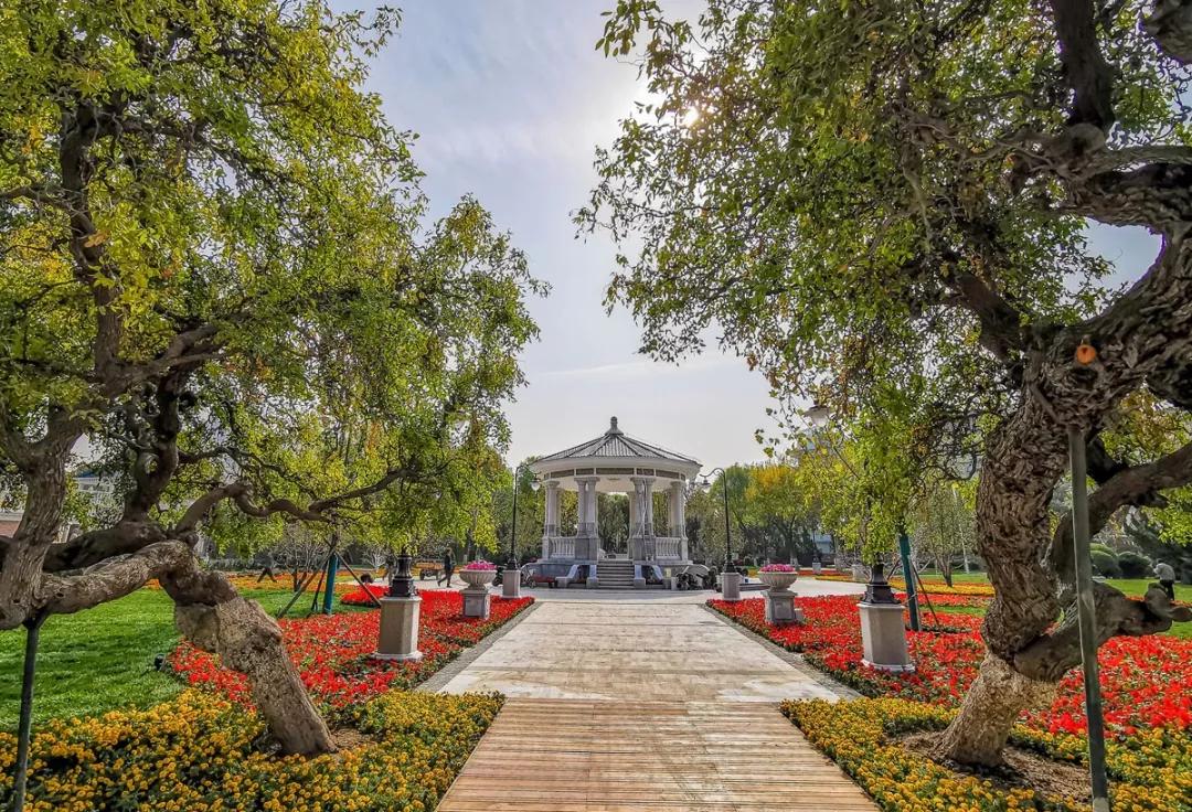 天津春暖花开西沽公园,天津开放的湿地生态公园