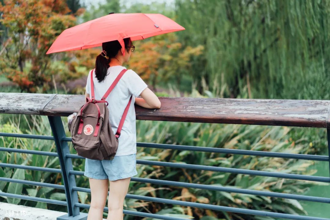 6骨双层长柄雨伞,六骨拱形雨伞