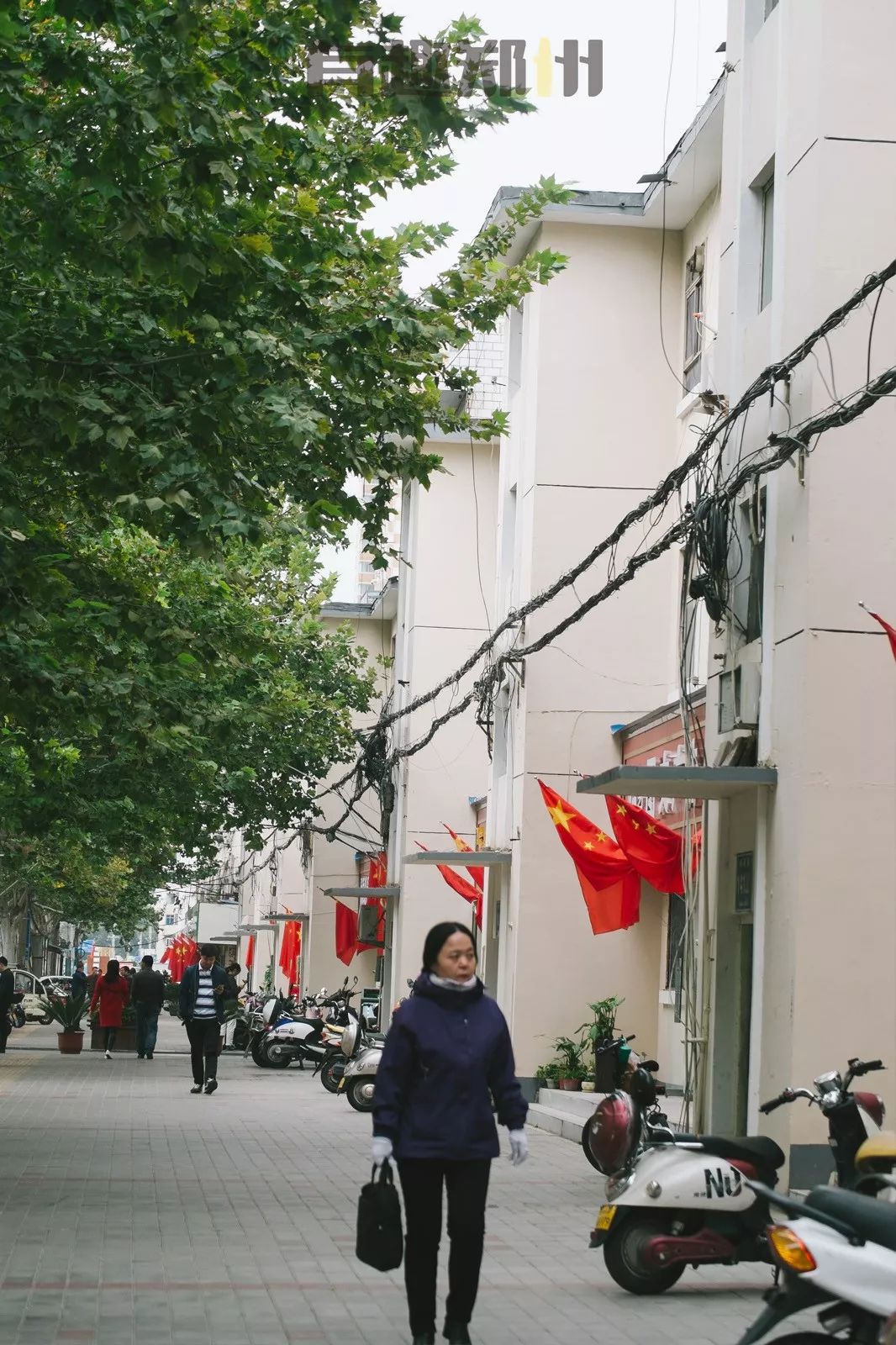 郑州金水路房价5万元,郑州金水区南阳路二手房价多少