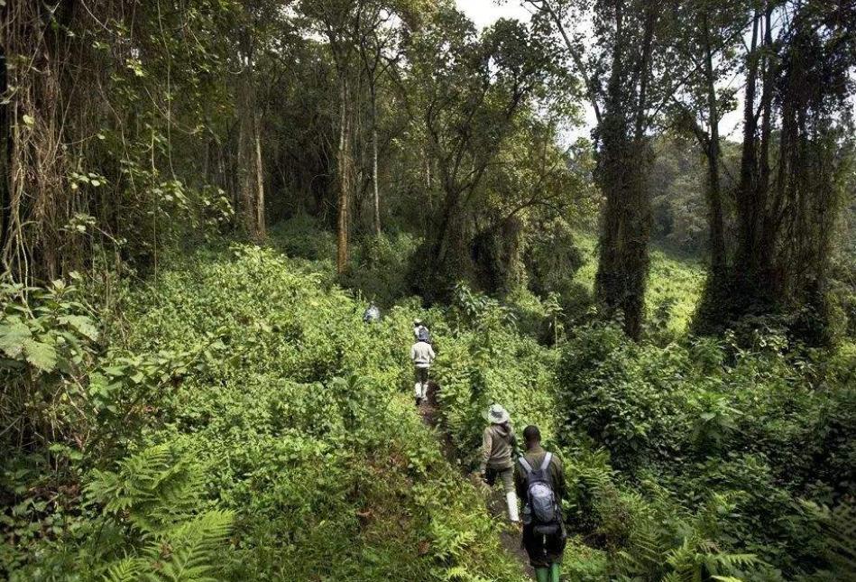 全球最难参观的公园,世界上最危险的公园门票