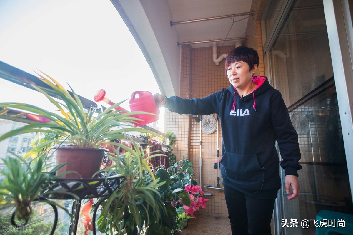 从零开始学养花蟹爪兰的养护方法,40种常见植物养护法让你养花不愁