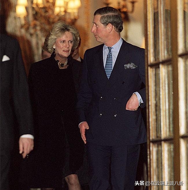 查尔斯王子为什么不爱戴安娜王妃,查尔斯王子与戴安娜关系