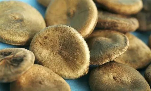 是药三分毒服用需谨慎,是药三分毒要对症