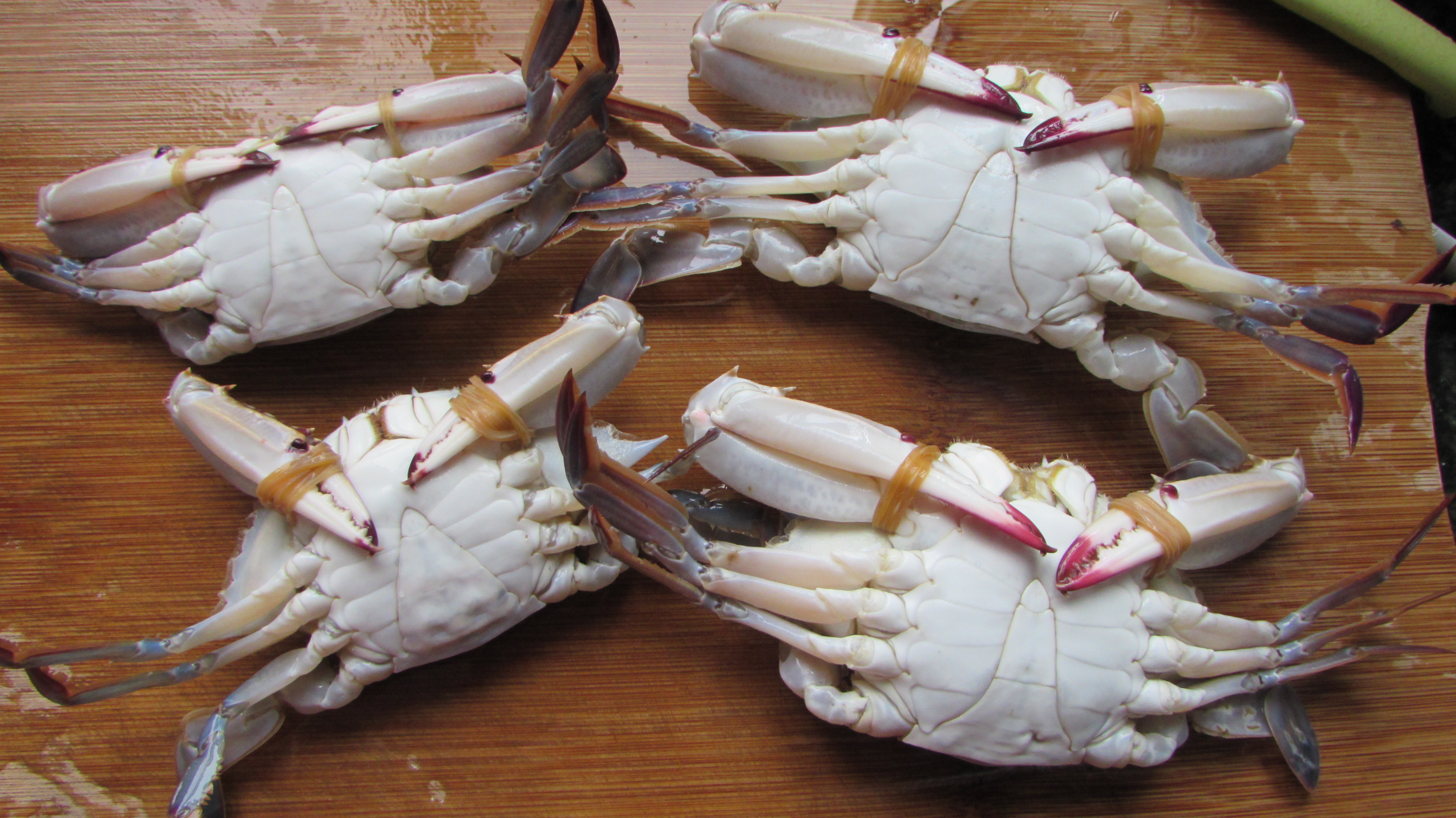 冷冻梭子蟹如何做盐蟹,怎么腌梭子蟹才好吃