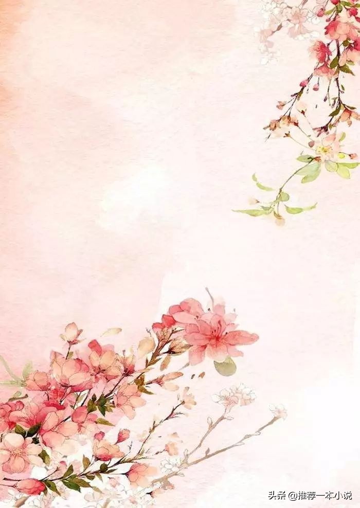 格子间女子,格子间女人作者