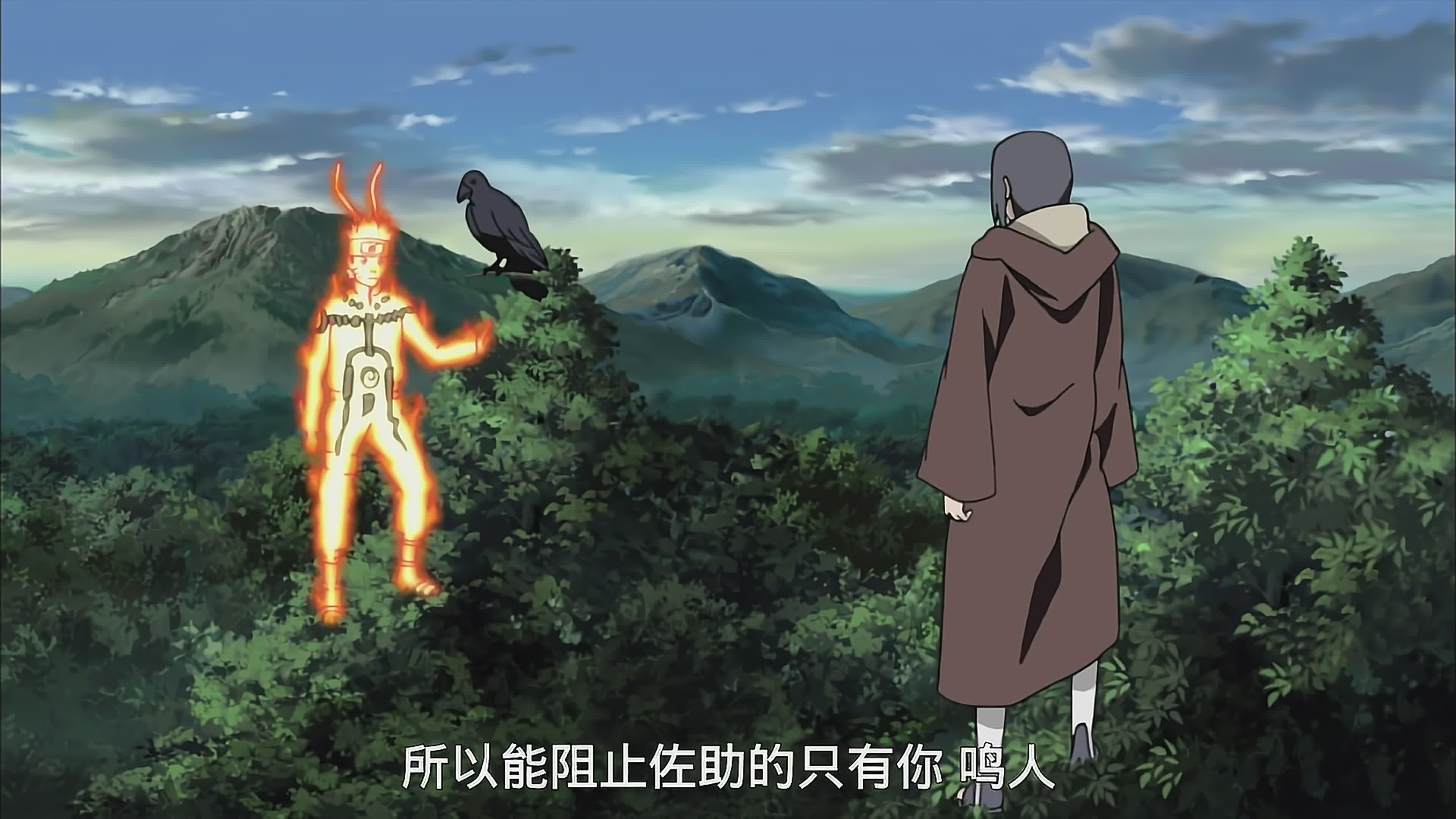 火影忍者对鼬的评价,火影忍者宇智波鼬是好的还是坏的