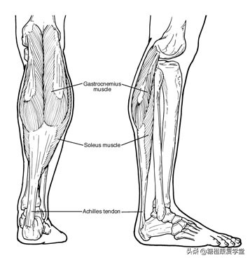 马蹄足内翻为什么一个大一个小,马蹄内翻足腿不一样大小怎么办