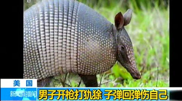 携带麻风病病毒的动物会怎样,麻风杆菌携带