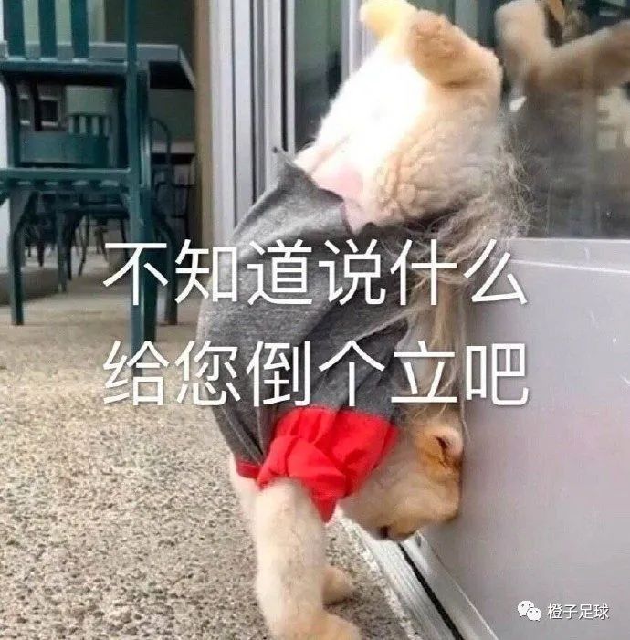 武磊韦世豪卧龙凤雏,武磊弯道超车国王杯