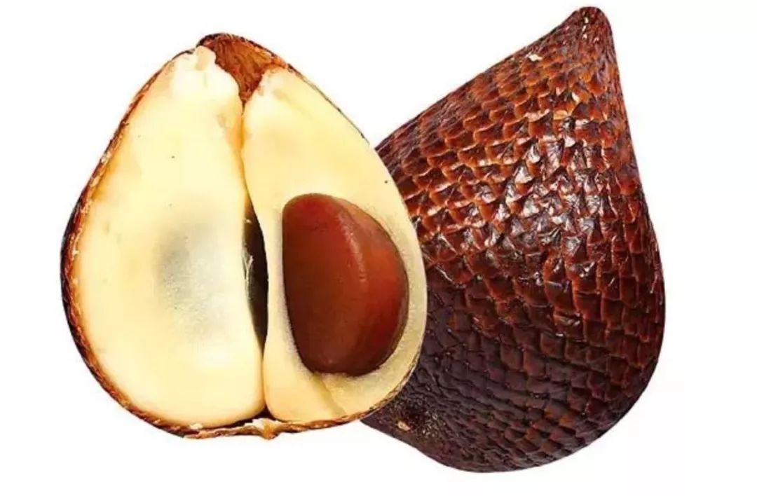 真的是活久见!长成这样居然能吃?