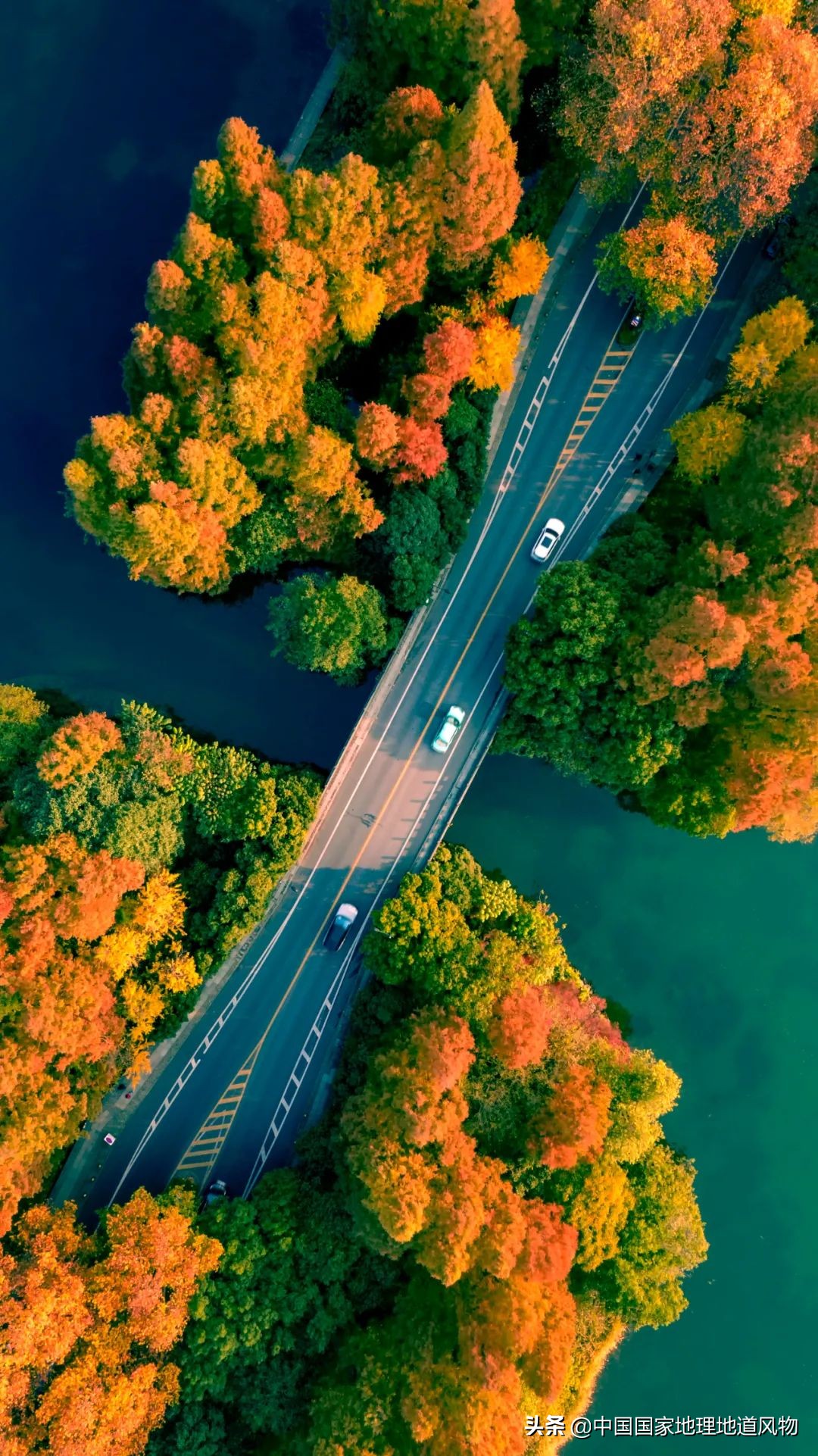 什么是西湖成语,什么是西湖莼菜