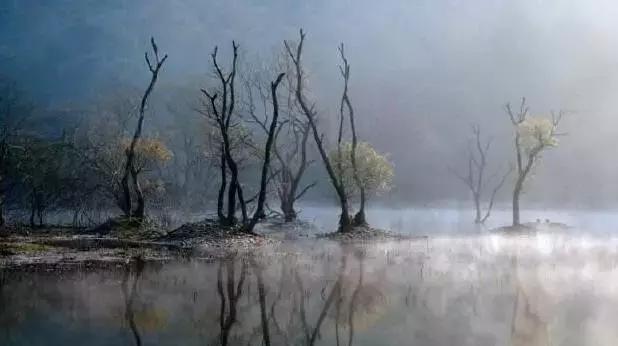 人生的至高境界是什么,人生至高境界佛为心道为骨