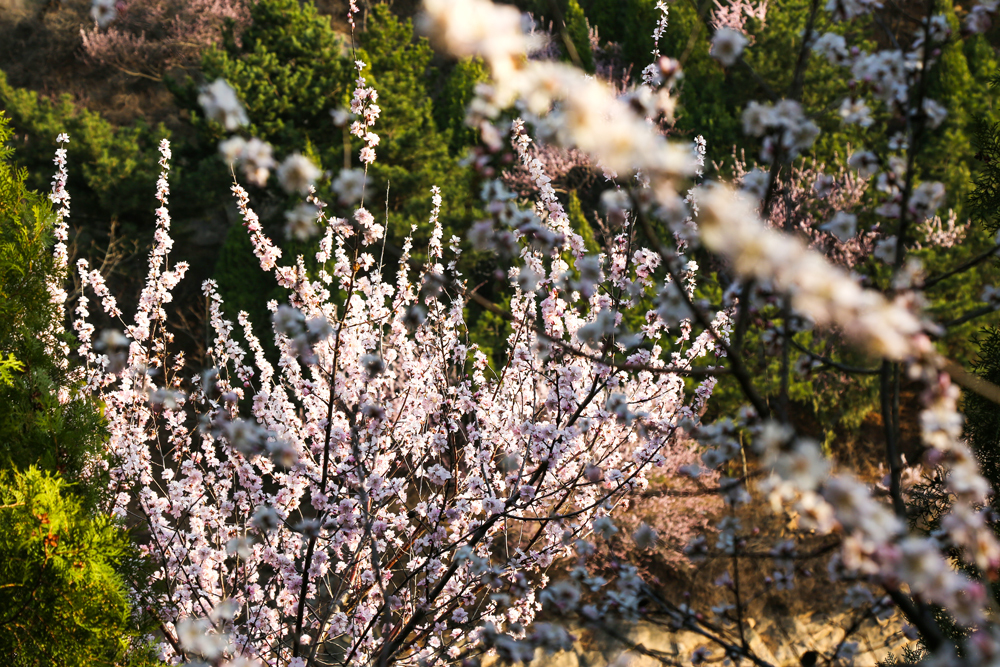 蓟州五盆沟风景区,蓟州翠屏湖美景