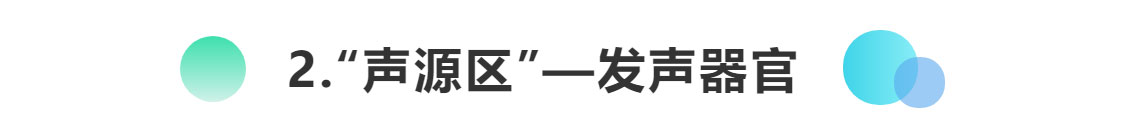 正美体态不对称,正美体态改善扁头是真的吗