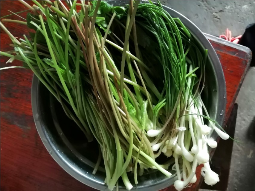 陌上花开,彩蝶翻飞,蜜蜂采蜜,这是一阙美丽的《蝶恋花》