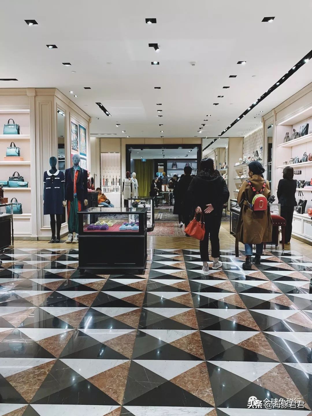 奥克兰旅游必买清单,新西兰奥克兰旅游攻略最全