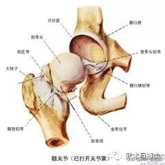 胯松了是什么原因,胯松开是什么感觉