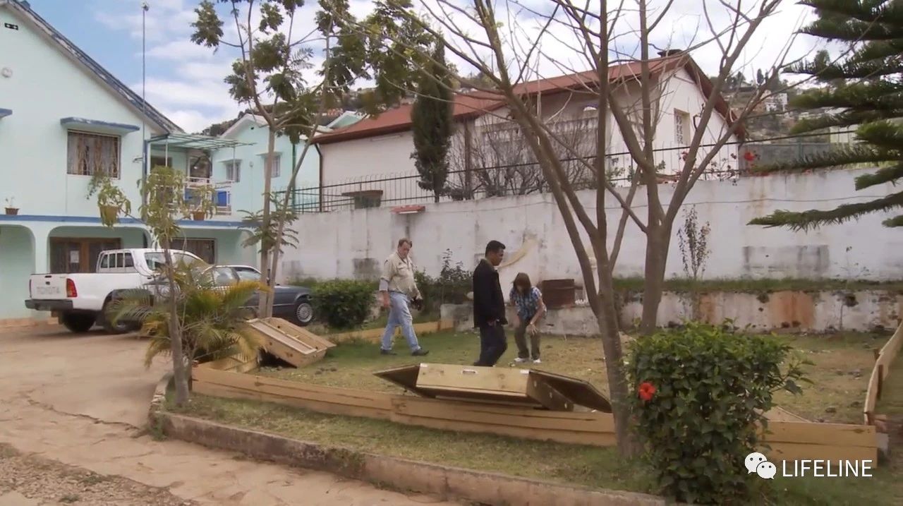 龟中“考拉”，请别让我们的孩子在博物馆见到它们...
