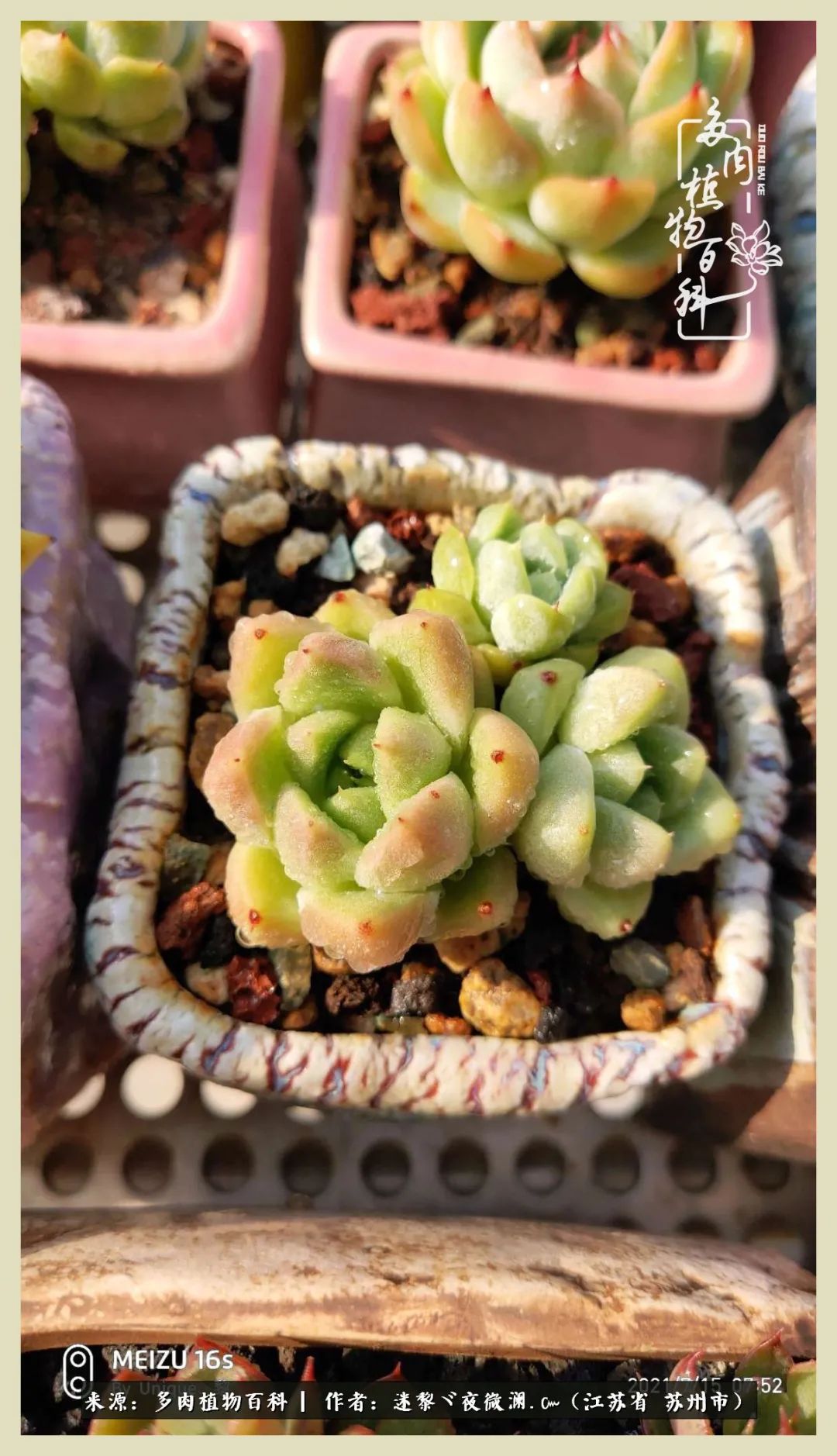 秋尽冬来岁月不居时节如流,岁月不居时节如流水