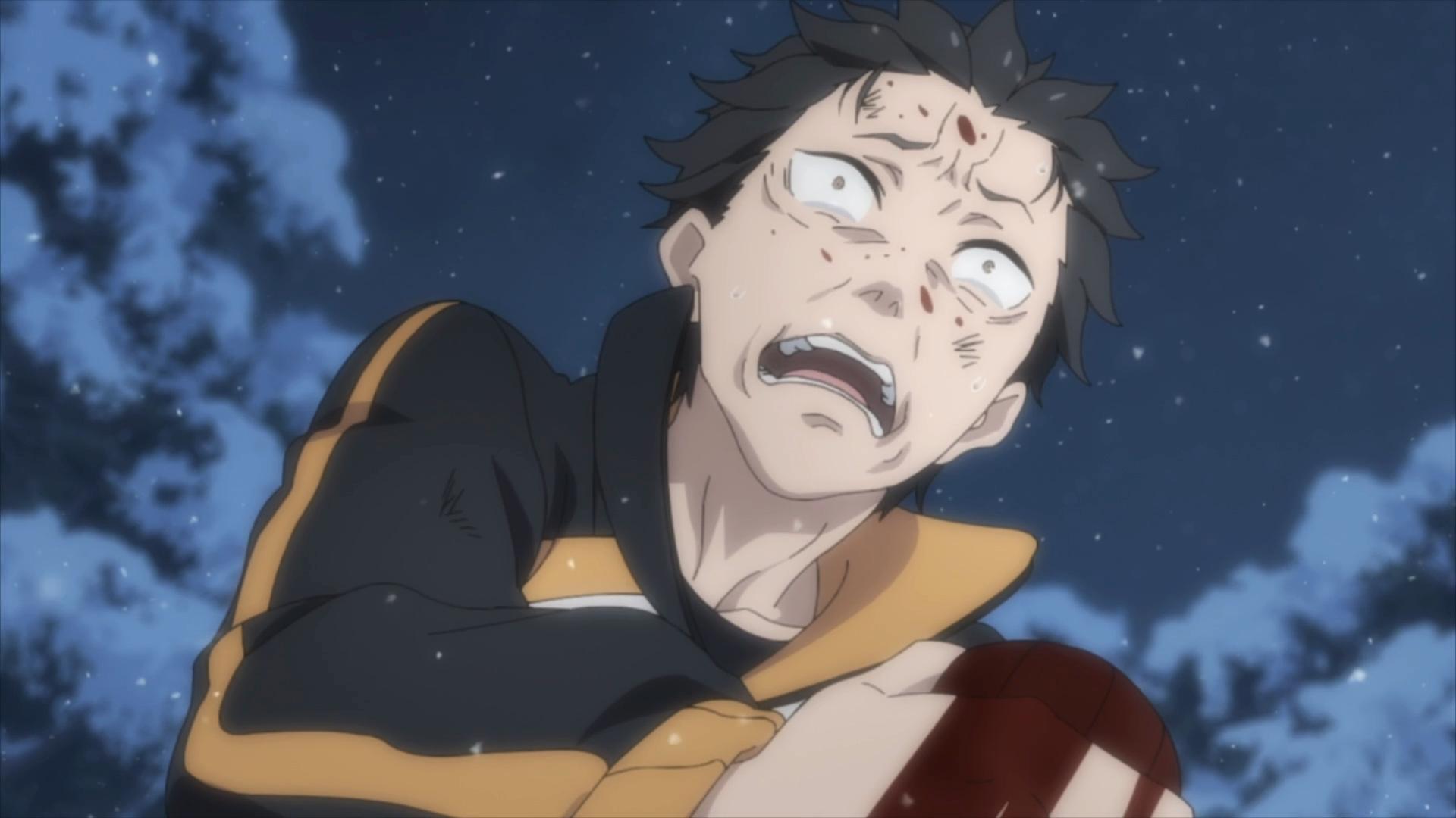 re0菜月昴真实身份,艾姬多娜和昴什么时候认识的