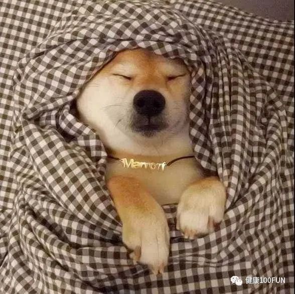 一上班就发脾气是怎么回事,一上班我就焦虑心慌怎么回事