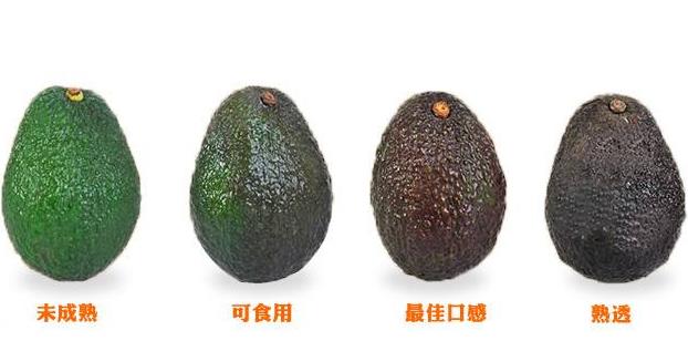 牛油果营养价值真的那么高吗,牛油果营养价值那么高吗