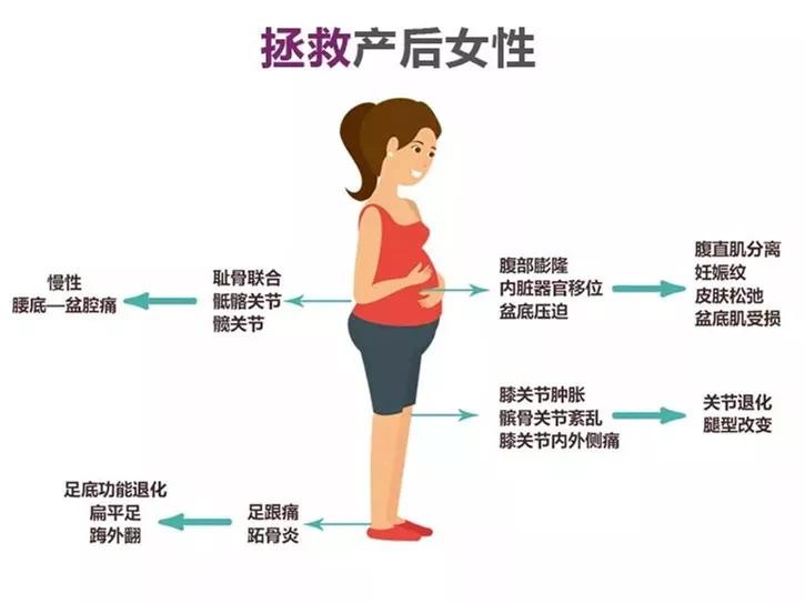 5月25日-29日产康精英骨盆矫正班·佛山站火热报名中
