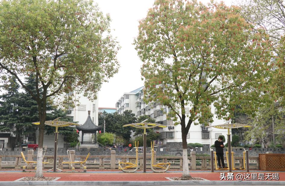 无锡网红打卡地太湖明珠大堤,无锡网红打卡地江尖公园