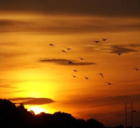 人情淡薄世态炎凉的社会,人情淡薄世态炎凉冷暖自知