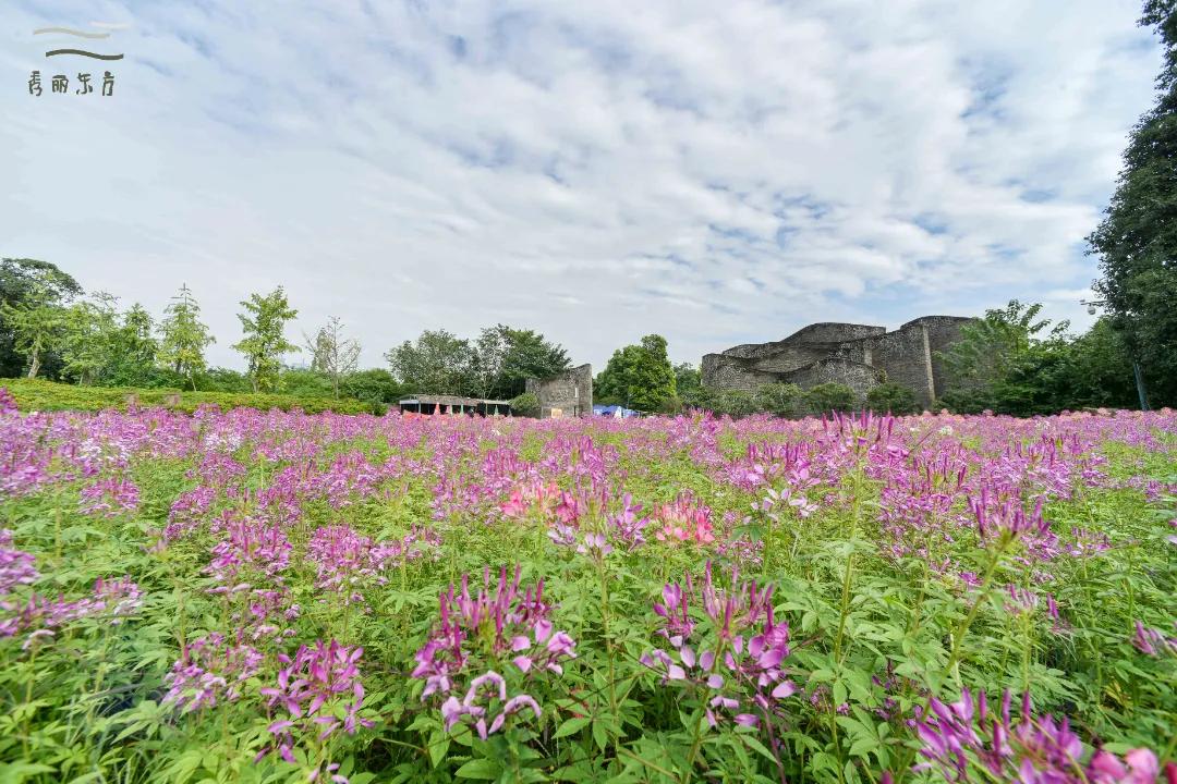 成都三圣乡恐龙主题公园,三圣乡恐龙主题公园地址