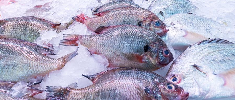 秋天爬山好处多?这类人要尽量少爬!--CATALO关节专题