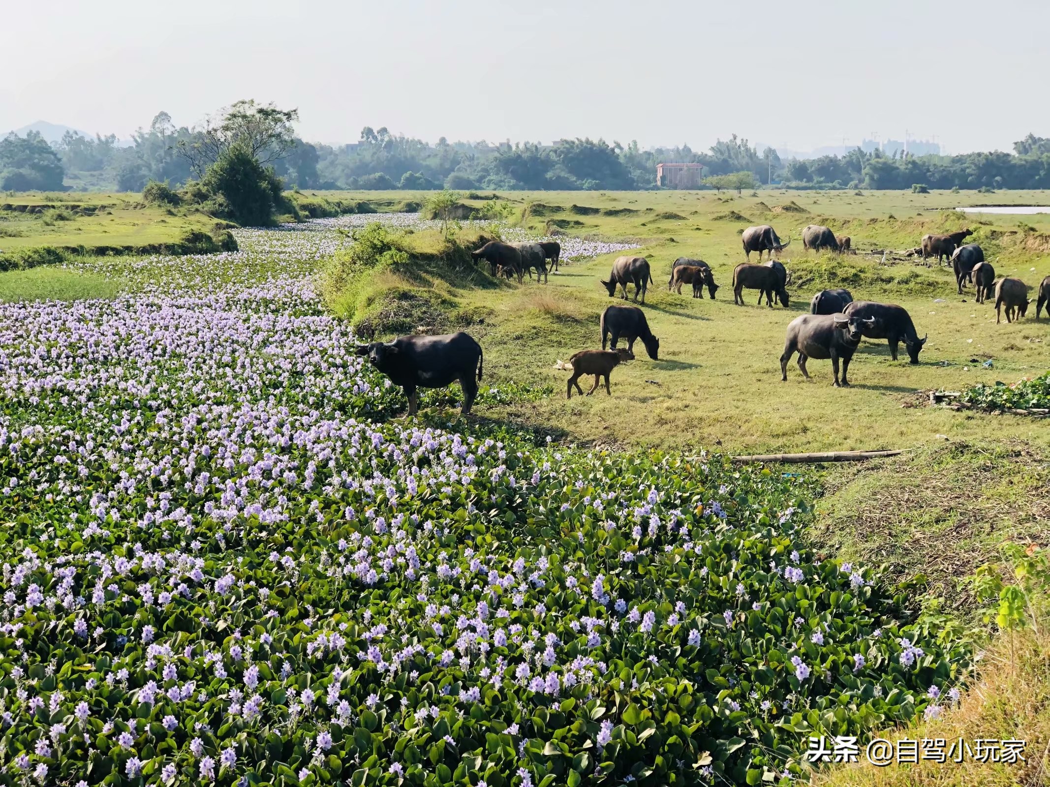 离深圳最近的野营地,深圳周边露营草原景点攻略
