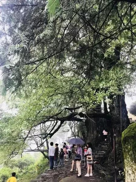 宜春城市建设项目,宜春市新建项目