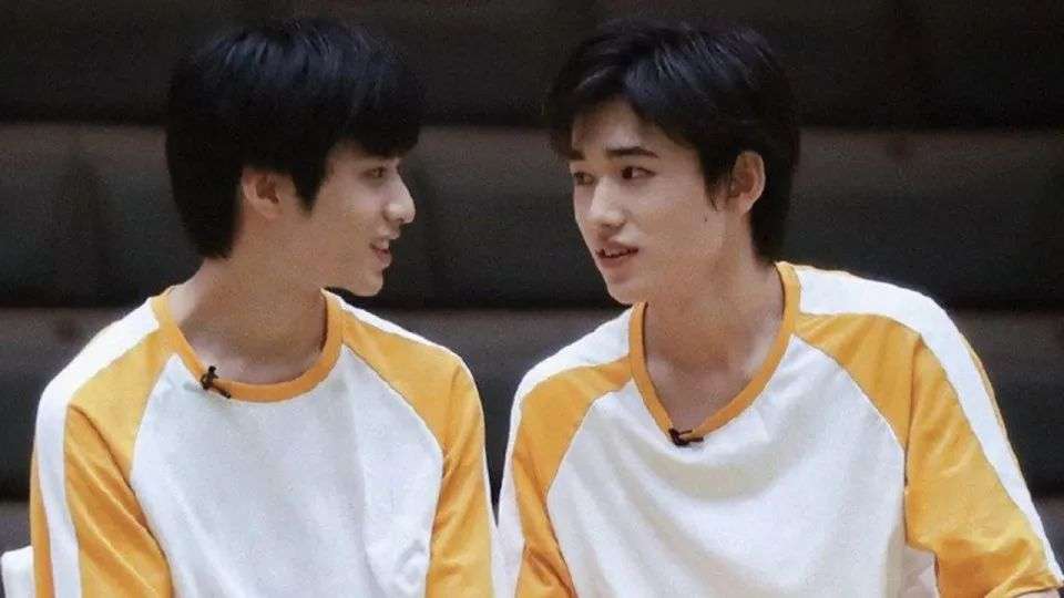 snh48和tfboys有什么区别,snh48tf家族