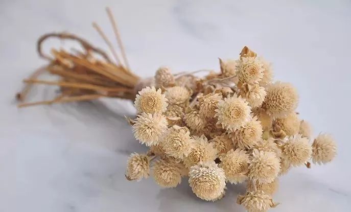 鲜花和干花的不同美感,有哪些花可以制作干花