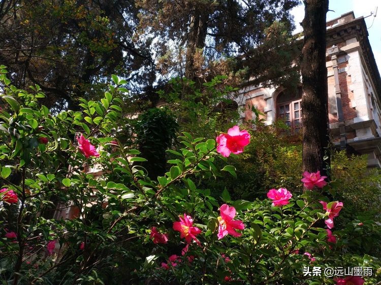 云大校园翠湖视频,昆明翠湖云大游玩路线