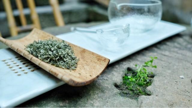 碧螺春茶叶知识,碧螺春茶知识介绍