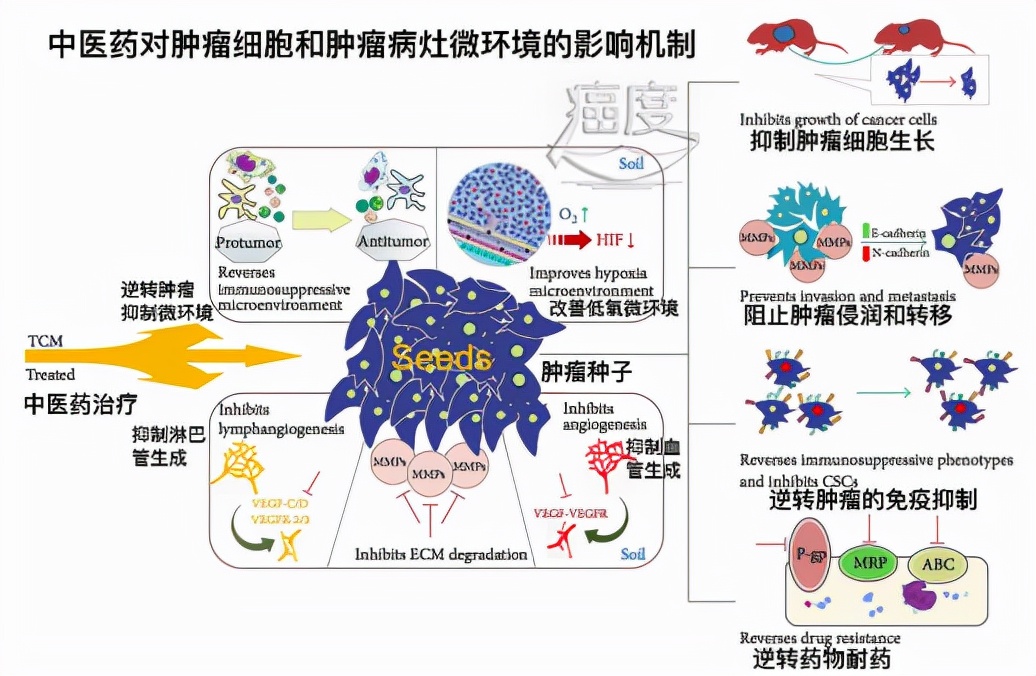 肺癌4期怎么提高生活质量,肺癌晚期怎么实现带瘤长期生存