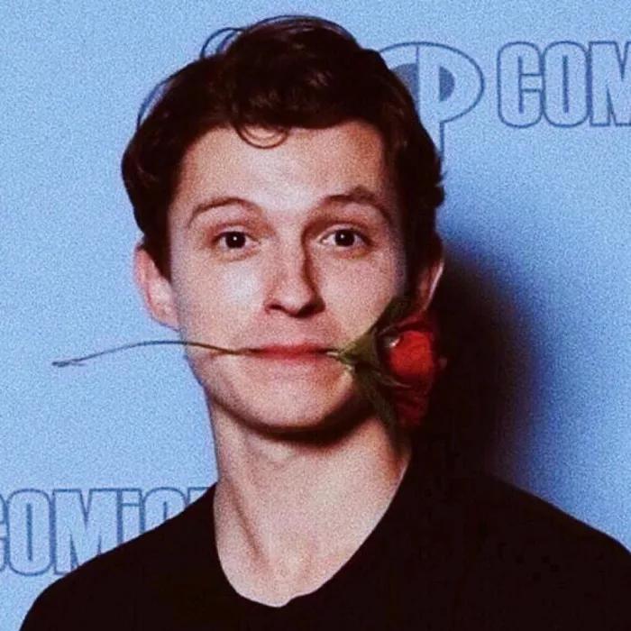 适合中年女人高雅的微信头像,100张珍藏已久微信头像