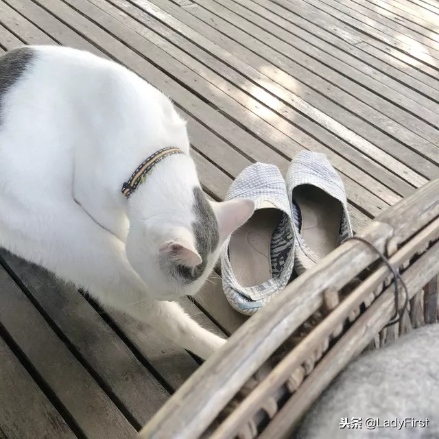 清迈旅行推荐酒店,别样的风情