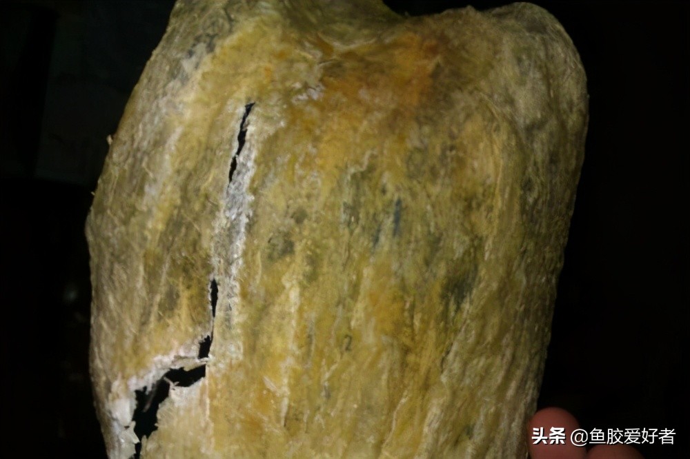 鱼胶选买什么样的好,如何挑选鱼胶让人觉得你是内行