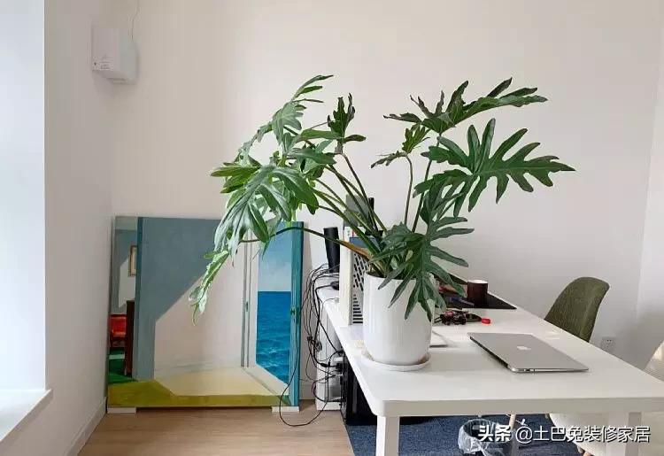 低预算简约风装修高级感,毛坯房装修预算5万清单简约风