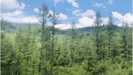 暑假内蒙古旅游攻略亲子,暑假亲子游玩内蒙古5天4夜