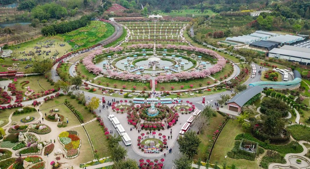 城南品质大盘,城南新区10万左右的房子