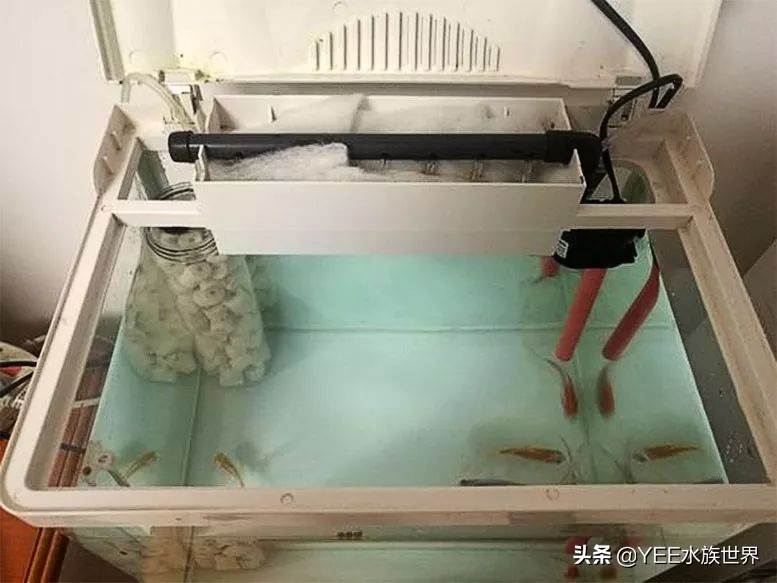 反气举多久能建立硝化系统,反气举可以培养硝化菌吗