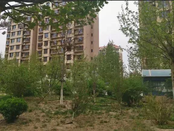 天之骄子是啥意思,天之娇子啥意思