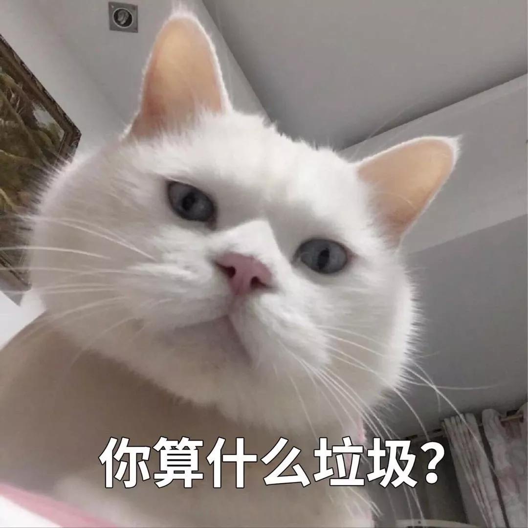 垃圾分类的创意灵感视频,垃圾分类创作灵感