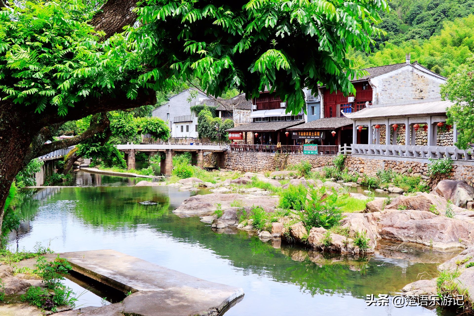 宁波慈溪最好的古村,宁波有个古村打造国际旅游村